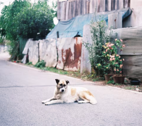 Lady Lounging on Concrete.