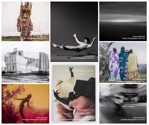 Professional category winners.