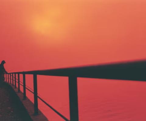 Douto Margin near Ponte da Arrábida. Olympus OM-10, 50mm, Redscale film.