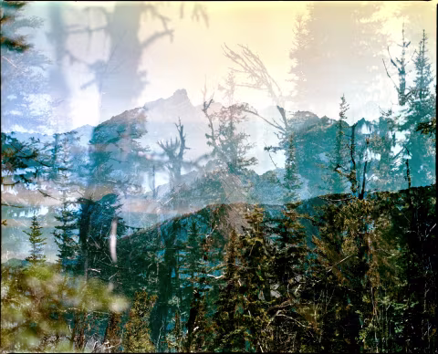 Mamiya RZ67 Professional II (in double-exposure mode) with Sekor RZ 110mm 𝒇2.8 and Fujifilm Fuji Pro 400H.