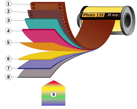 1. Film base; 2. Adhesive layer; 3. Red light sensitive layer; 4. Green light sensitive layer; 5. Yellow filter; 6. Blue light sensitive layer; 7. UV Filter; 8. Protective layer; 9. Visible light coming through the camera lens (when shot as regular, non-red scale film). Image by Voytek S (Wikimedia Commons).