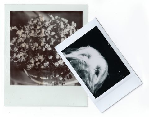 Polaroid SX-70 B&W film (left) vs. Instax Mini (right).