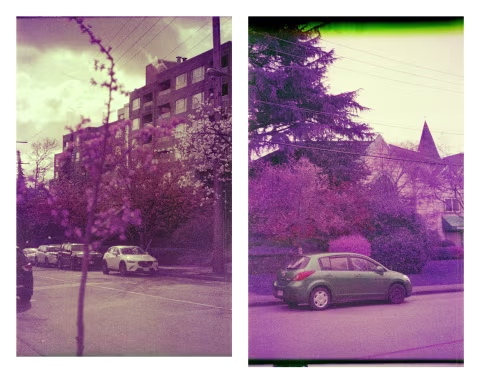 Redscaled Lomochrome Purple with green filter.