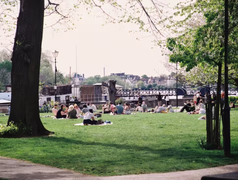 Furnival Gardens, a park area next to the Thames Path, on the Hammersmith side.  The park gets very busy whenever there are boat races on this stretch of the Thames River.