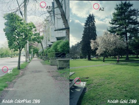 Kodak ColorPlus looked near-identical to Kodak Gold during the initial round of testing. I point to some inconclusive differences in regions A & B.