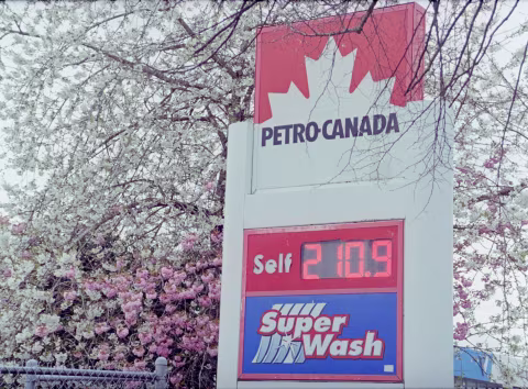 Kodak Pro Image 100 with Kyocera Samurai x3.0.