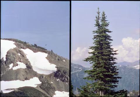 Large image.