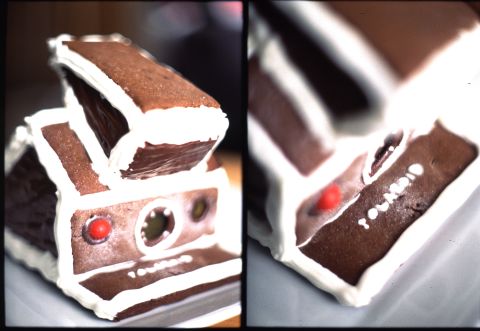 Polaroid SX-70 gingerbread model.