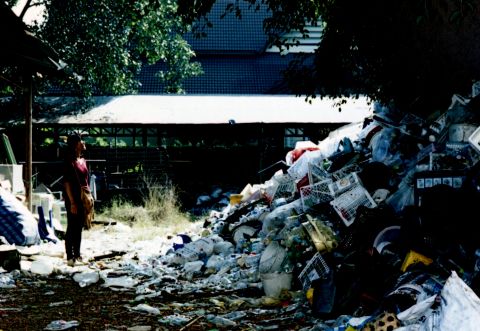 Natonrawin, who helped me communicate with the junk yard owner is looking up one of the dozen piles of plastic trash that rests under a giant tree.