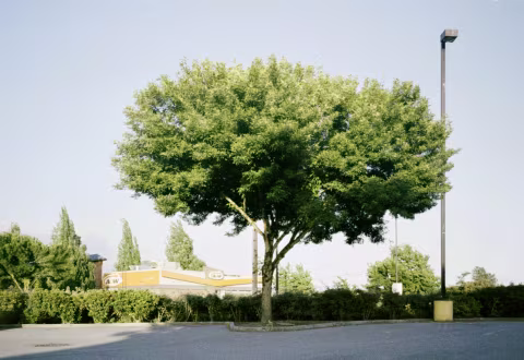 Fujifilm 400 with Fujifilm Cardia Tiara (DL Super Mini).