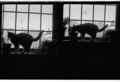 Cumbia. Appleton, Wisconsin. Chaika II. Kodak 400 TX.