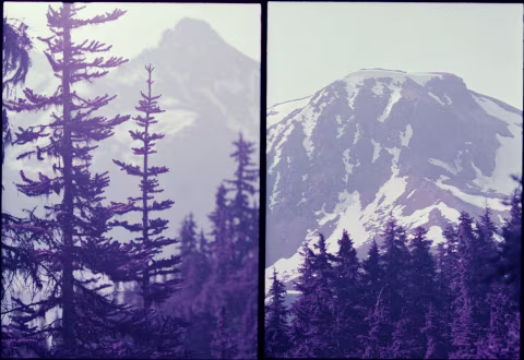 Large image.