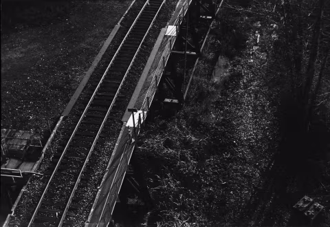 Film Ferrania P30 with Voigtländer Vitessa A.