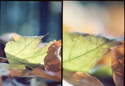 Small image.