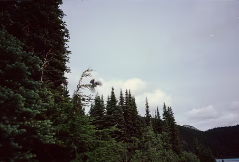 Small image.