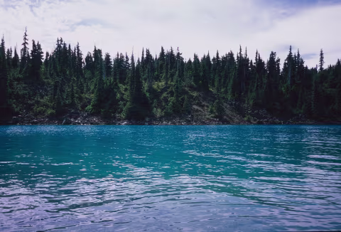 This August, I got a chance to visit Garibaldi Provincial Park, about an hour’s drive from home. The incredible jade-coloured lake at its heart, above, is faithfully rendered on Fujifilm Provia 100 with 28mm TC-1 lens and scanned on PrimeFilm XA. The slide was developed (and framed!) at a local pharmacy, London Drugs.