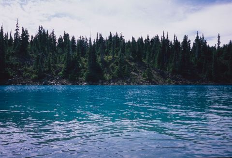 This August, I got a chance to visit Garibaldi Provincial Park, about an hour’s drive from home. The incredible jade-coloured lake at its heart, above, is faithfully rendered on Fujifilm Provia 100 with 28mm TC-1 lens and scanned on PrimeFilm XA. The slide was developed (and framed!) at a local pharmacy, London Drugs.