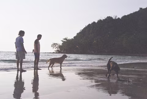 Local couple playing with their dogs. Shot with Yashica FX3 Super 2000 on Kodak Color Plus 200.