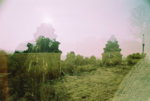 Large image.