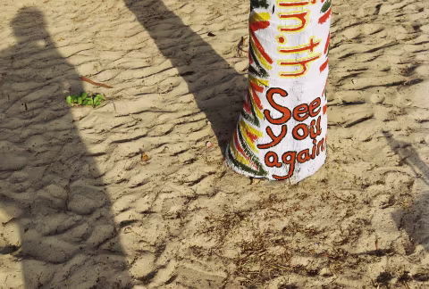 See you again. Shot with Yashica FX3 Super 2000 on Kodak Color Plus 200.