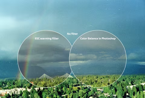 CineStill 800T shot on Vitessa A. Left circle: a matching frame shot with an 85C warming filter. Right circle: colour-corrected frame shot without the filter. Outside of circles: frame shot with no warming filter and no colour correction.