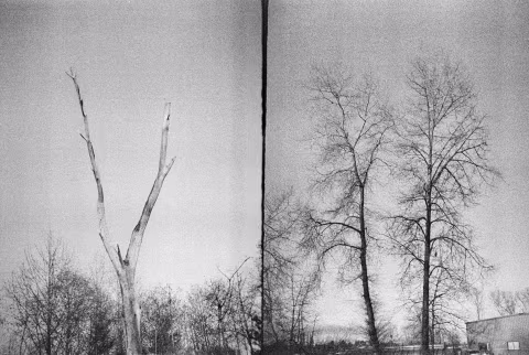 ORWO NP20 (exp. in 1992) with Pentacon Penti II. Exposed at EI 50, developed in Ilfosol 3 1:9 for eight minutes.