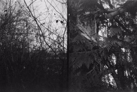 ORWO NP20 (exp. in 1992) with Pentacon Penti II. Exposed at EI 50, developed in Ilfosol 3 1:9 for eight minutes. No edits.