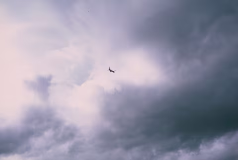 Large image.