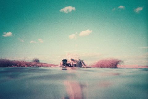 Image by Rob Gratis Charlotte, courtesy of Lomography USA.