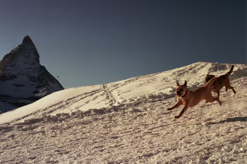 Jumpin good. — Zermatt.