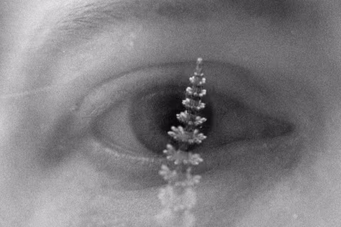 “Bloomin’” (2020) — double-exposure shot with an Ilford Delta 3200, Nikon F100, and 55mm macro lens.