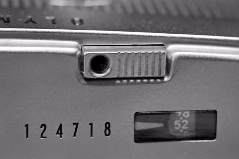 The shutter release button and the frame counter.