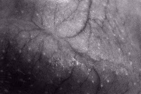 “Mars” (2020) — shot with Ilford Delta 3200, Nikon F100, and 55mm macro lens.