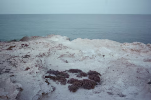 Aguadulces , 2019