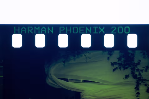 Another detail of the film strip. (Photographed with a Fujifilm X-E2 and a macro Fujinon 30 mm f/2.8.)