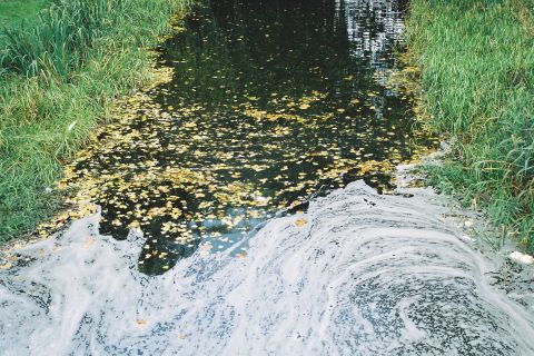 “Water swirls at Grand Canal.” Shot on expired Kodak Gold 200.