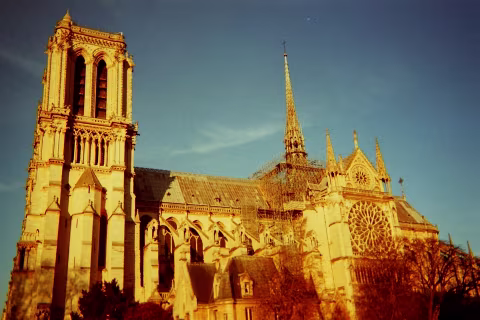 Large image.