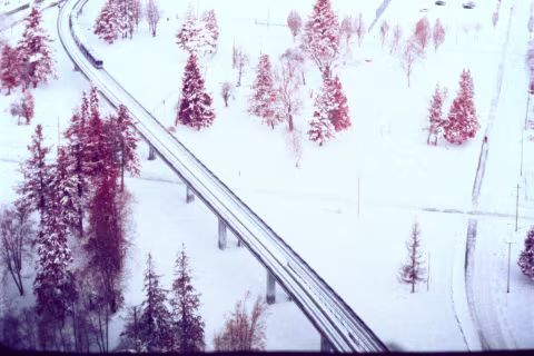 Kodak Aerochrome makes vegetation appear red.
