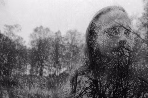 “The Forest…" (2020) — double-exposure, shot with Ilford Delta 3200, Nikon F100, and 55mm macro lens.