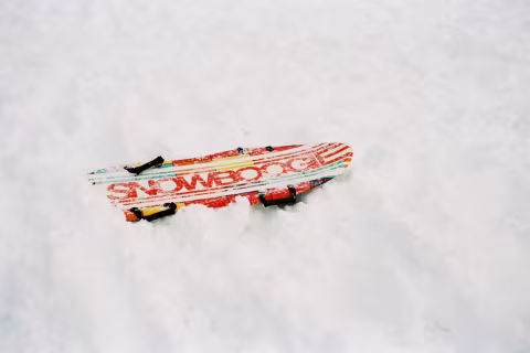 Kodak Ektar 100 with Voighländer Vitessa L3.