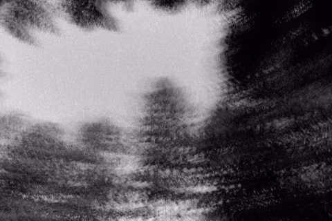 “Roads” (2020) — shot with Ilford Delta 3200, Nikon F100, and 55mm macro lens.