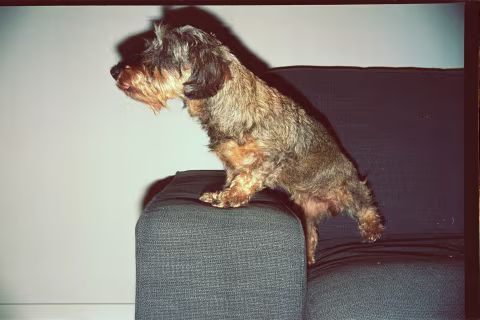 Norah on expired Portra 400UC, with Rollei 35B and no colour correction in post. No light meter, no exposure guesstimates — just zone focus, set aperture, and click.