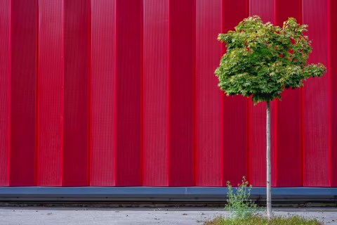 By the roadside # 67 — Wasserburg / Inn
© Michael Nguyen / VG Bild-Kunst, Bonn
