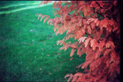 Film Photography News — October 2019 Recap