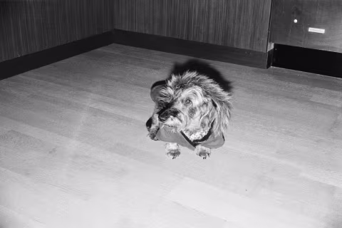 June 2020. Ready for the elements.