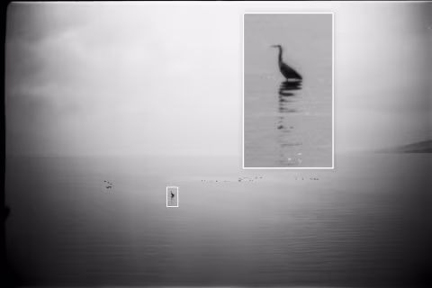 137-megapixel scan of a 35mm frame made with the Adox CMS 20 II film shot in a sixty-year-old film camera (Voigtländer Vitessa A).