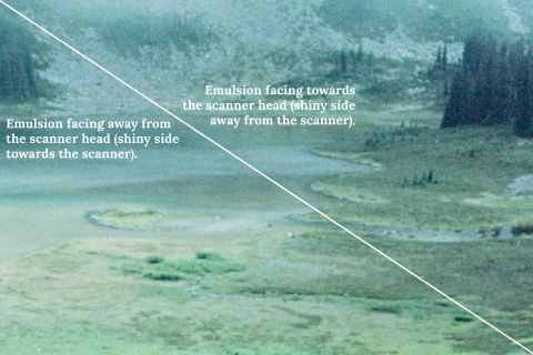 Scanning emulsion side up vs. down: comparing grain detail and resolution in colour-negative film (Kodak Portra 160, enlarged ).