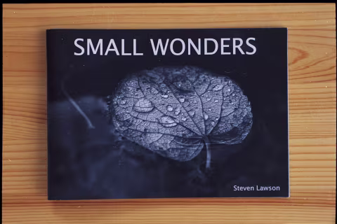 Small Wonders