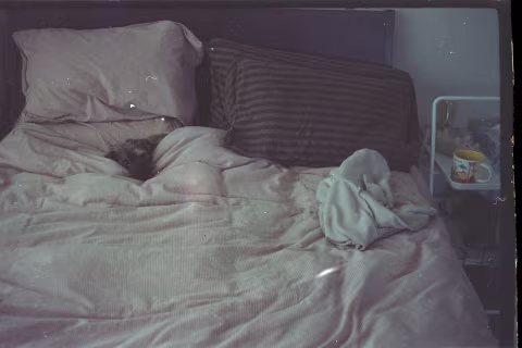 Kodak Royal Gold 400 shot at ISO 200 with Industar-10.