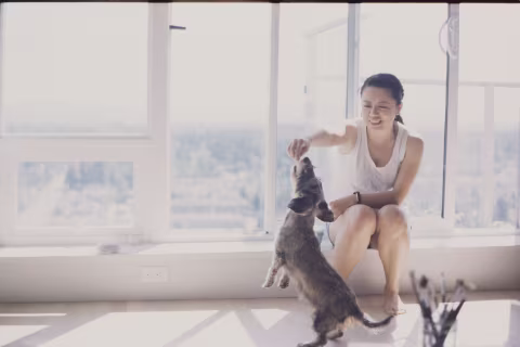 I like how gracefully Provia 400F handled the overexposed areas in this scene. Hard to believe this is a slide film. I love this image for its mood and personal memories, but I can’t help wishing it was a little sharper in the spots that matter. Shot on Voigtländer Vitessa A.